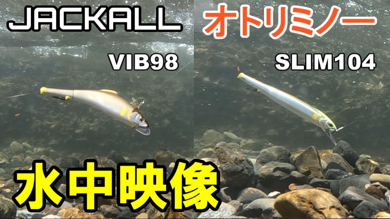 【水中映像】ジャッカルのオトリミノーSLIM104とVIB98が良い感じ