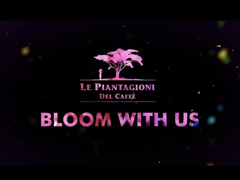 , title : 'Bloom With US - Le Piantagioni del Caffè'