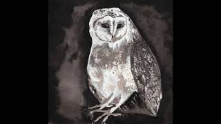 Owl Song