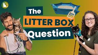 How to Travel With a Cat: Road Trips & Litter Box Tips