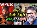 Director Sukumar Hits And Flops All Movies List Upto Pushpa 2 Movie Review