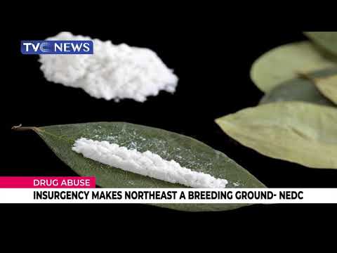 Insurgency Makes Northeast A Breeding Ground, NEDC Says