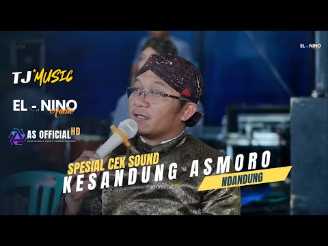 Spesial cek sound !! NDANDUNG - KESANDUNG ASMORO - TJ MUSIC ( Official video live )   AS OFFICIAL HD