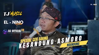 Download lagu Spesial cek sound !! NDANDUNG - KESANDUNG ASMORO - TJ MUSIC (  video live )   AS  HD mp3