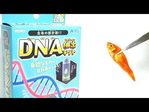 トイザらスの「DNA抽出キット」が…サイコパスすぎた