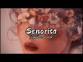 DJ Noiz - Senorita feat. Kennyon Brown, Donell Lewis & Konecs - (slowed+reverb)