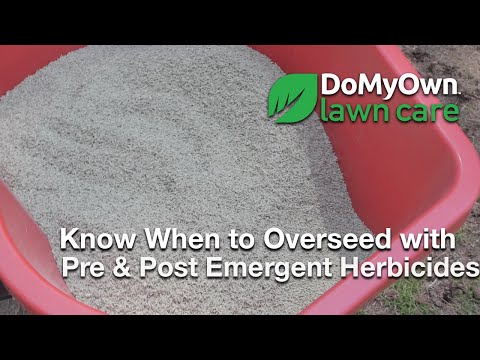  Know When to Overseed with Pre Emergent and Post Emergent Herbicides Video 