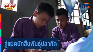 คู่แฝดนักสืบพันธุ์ปลากัด | Proud เว่อร์