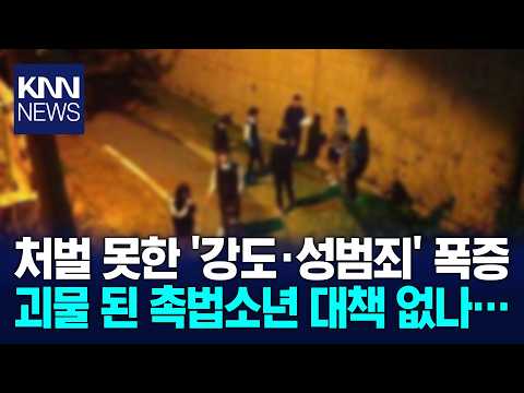 촉법소년 절반 이상이 '13세' 악질 된 소년범들 어떡하나 / KNN