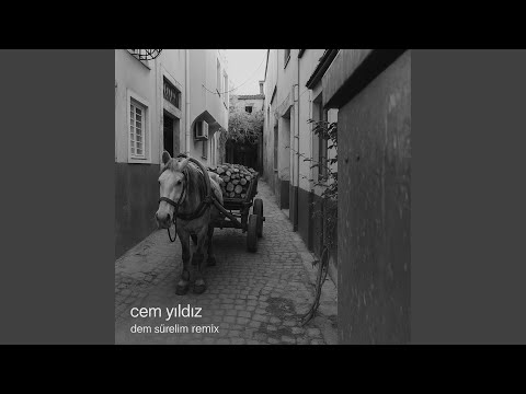 Dem Sürelim (Remix)