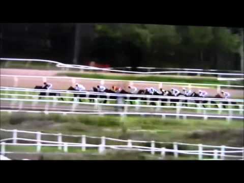 Lanwades Stud Stakes (L) 2012