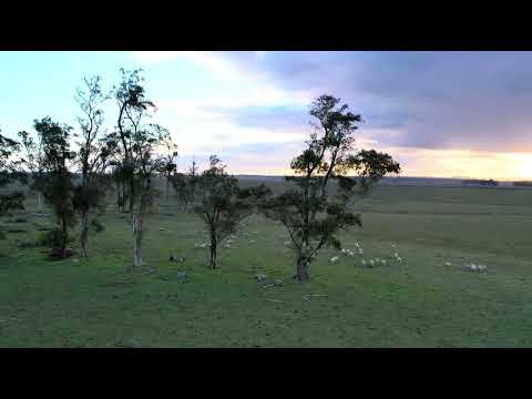 Venta Campo 363 hs en Lavalleja Retamoza