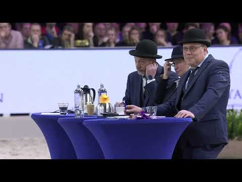 HK 2026 – Championship younger Studbook Stallions – German