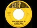Elmore James - "Something Inside Me"