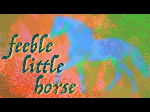 WHUS Interviews // Feeble Little Horse
