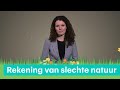 Waarom de slechte staat van de natuur ons steeds meer geld kost