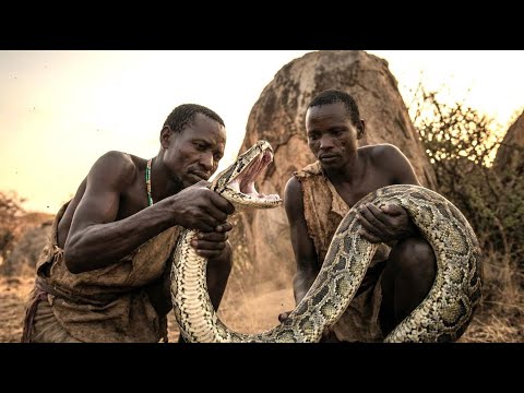 Gefährliche Jagd – Mit dem Hadzabe-Stamm auf der Spur einer Riesenschlange