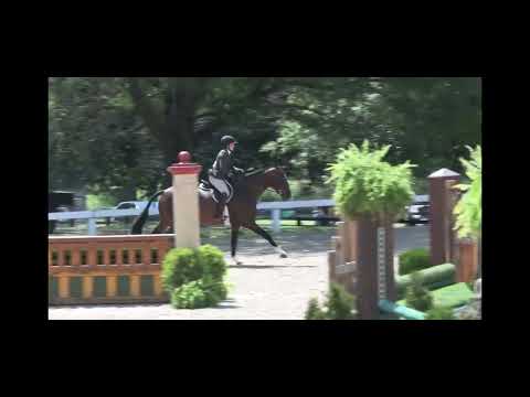 Highgate video 2