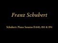 Franz Schubert - III. Menuetto. Allegro moderato