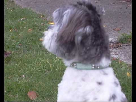 Sophie's First Hair Cut