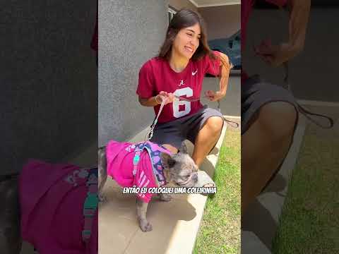 ELA IA JOGAR A CACHORRA NO LIXO   😱#shorts #mansaomovie