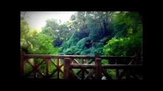 #TASKFORCE PARK RANGER Reflections Lil B