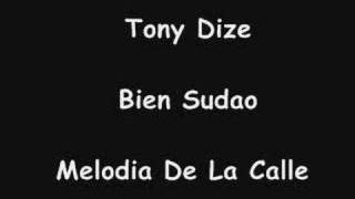 tony dize bien sudao