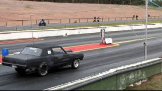SIMO`s hemi