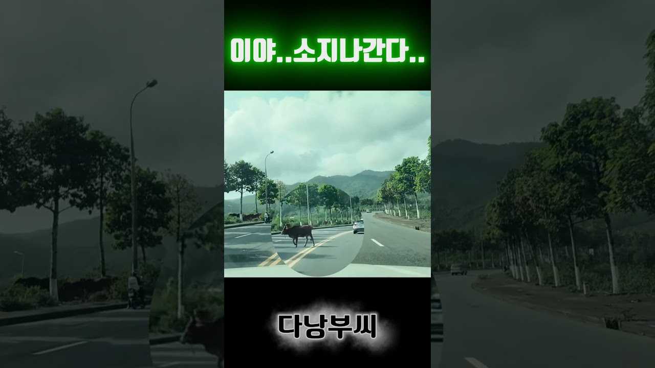 예? 인도세요? #베트남#다낭