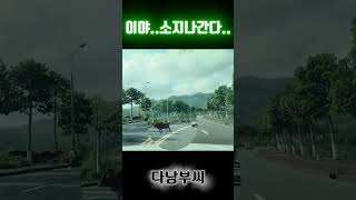 예? 인도세요? #베트남#다낭