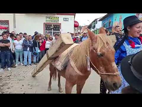 🔴 #EnVivo Concurso de Arrieria en #tibana Boyacá