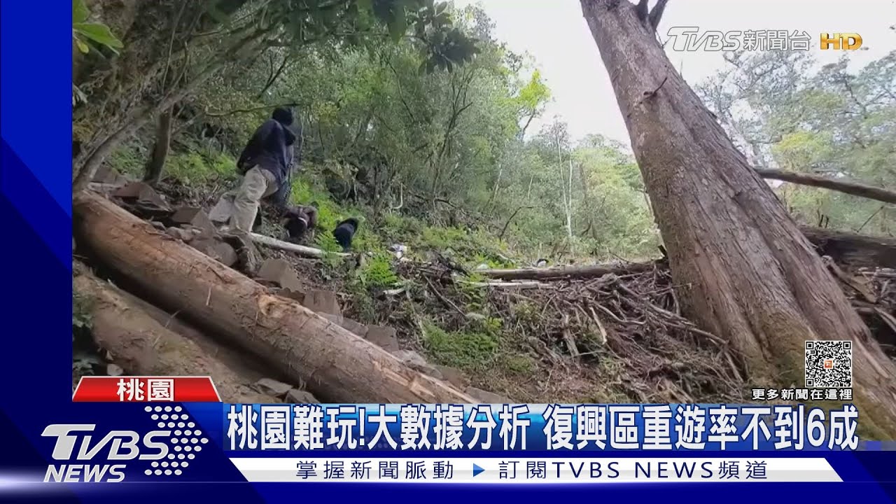 桃園難玩!大數據分析 復興區重遊率不到6成