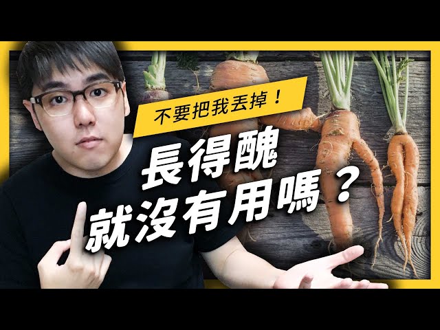 浪費食物也會導致全球暖化！？七分鐘帶你了解怎麼改善浪費問題！| 志祺七七