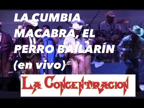 LA CUMBIA MACABRA, EL PERRO BAILARÍN  (EN VIVO) - 🔥LA CONCENTRACION🔥 #LACONCECUMBIAS