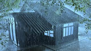 A Cure for Deep Sleep with Loud Rain & Ferocious Thunder on a Sturdy Metal Roof in the Rainforest