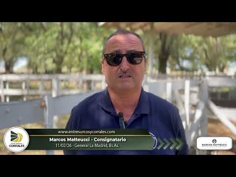 11-02-26 - Marcos Matteucci - Consignatario - General La Madrid, Bs.As.