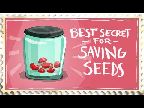 Play YouTube Video