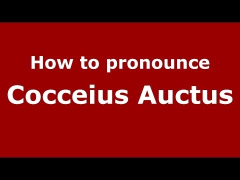 How to pronounce Cocceius Auctus (Italian/Italian) - PronounceNames.com