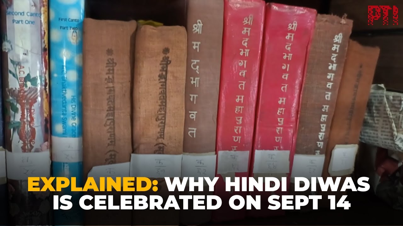 Hindi Language's Literary Tapestry Celebrated