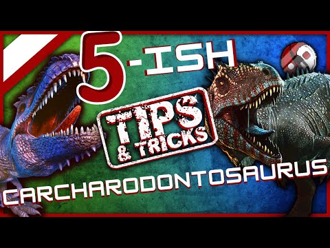 Carcharodontosaurus 5 Tips And Tricks Taming To PVP Ark Survival Evolved