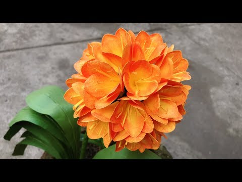 ABC TV | How To Make Clivia Paper Flower | Flower Die Cuts - Craft Tutorial