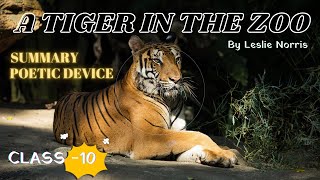 A TIGER IN THE ZOO BY  LESLIE NORRIS || POETIC DEVICE + SUMMARY || CLASS 10 ENGLISH POEM