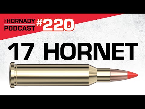 Quick Tip: Using the Hornady Concentricity Gauge to Load Better Ammo
