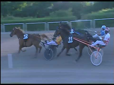 Trotto 20/06/2020 - 4ª corsa