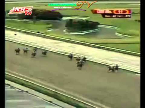 LA RINCONADA 11 CARRERA DOMINGO 23 DE NOVIEMBRE DEL 2014