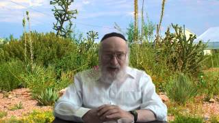 הלכות שמיטה לקבלנים הכנת גינה