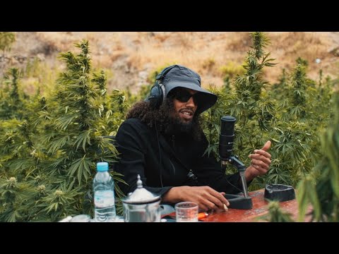 YAHIA - FREESTYLE GREEN 212