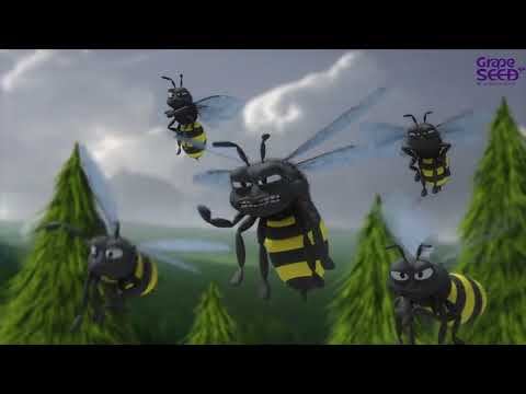 GrapeSEED Magic! Jonny Bear's adventures Unit 5