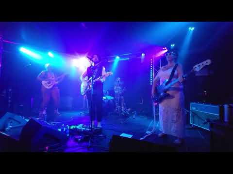 Weekend Hippies - Harvey