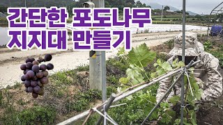 【텃밭 포도나무 초간단 지지대 만들기】 